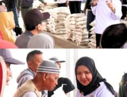 Pemerintah kota Bandar Lampung Salurkan Bantuan Beras di 20 Kecamatan Kota Bandar Lampung