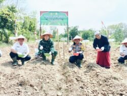 Polres Mesuji bersama Forkopimda, TNI dan Pihak Pondok Pesantren melaksanakan penanaman jagung serentak di lahan pondok pesantren