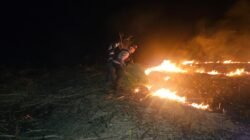 Polres Mesuji bersama Masyarakat berjibaku memadamkan kebakaran hutan di dua titik
