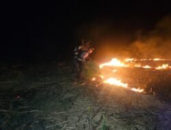Polres Mesuji bersama Masyarakat berjibaku memadamkan kebakaran hutan di dua titik