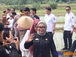 Bukan Sekadar Seremoni: Ketua DPRD Metro Turun ke Sawah hingga Boots Tertancap Lumpur