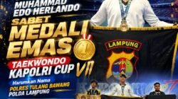 Gemparkan Ajang Nasional, Bripda Muhammad Edo Herlando Sabet Medali Emas Taewondo Kapolri Cup VII, Harumkan Nama Polres Tulang Bawang Polda Lampung