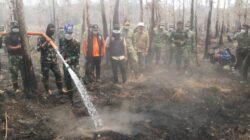 Tinjau Karhutla Way Kambas, Kasrem 043/Gatam Dampingi Kepala BNPB Kawal Keselamatan Ekosistem